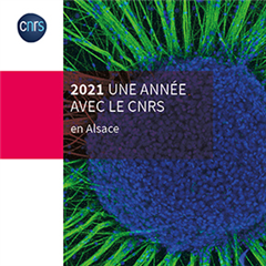 Vignette illustrant cette actualité