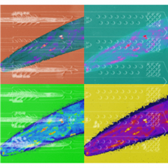 Vignette illustrant cette actualité