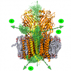 Vignette illustrant cette actualité