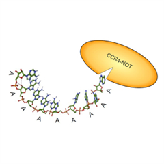 Vignette illustrant cette actualité