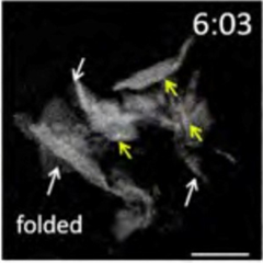 Vignette illustrant cette actualité
