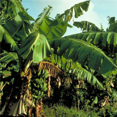 Vignette illustrant cette actualité