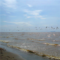 Vignette illustrant cette actualité