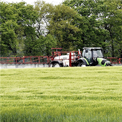 Vignette illustrant cette actualité