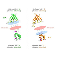 Vignette illustrant cette actualité