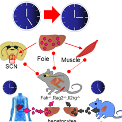 Vignette illustrant cette actualité