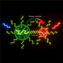 Vignette illustrant cette actualité