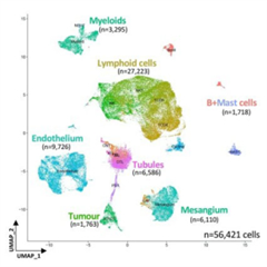 Vignette illustrant cette actualité
