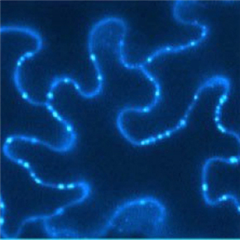 Vignette illustrant cette actualité