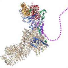 Vignette illustrant cette actualité