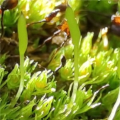 Vignette illustrant cette actualité