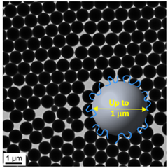 Vignette illustrant cette actualité