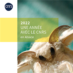 Vignette illustrant cette actualité