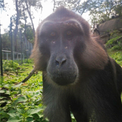 Vignette illustrant cette actualité