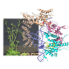 Vignette illustrant cette actualité