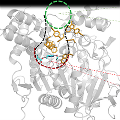 Vignette illustrant cette actualité
