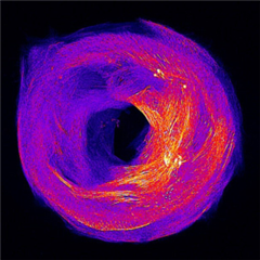 Vignette illustrant cette actualité