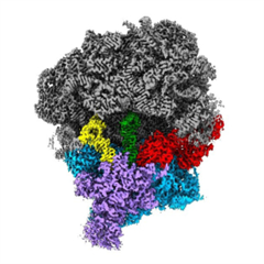 Vignette illustrant cette actualité