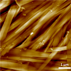 Vignette illustrant cette actualité