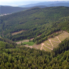 Vignette illustrant cette actualité