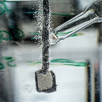 Vignette illustrant cette actualité