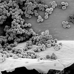 Vignette illustrant cette actualité