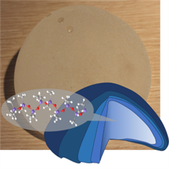 Vignette illustrant cette actualité