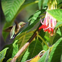 Vignette illustrant cette actualité