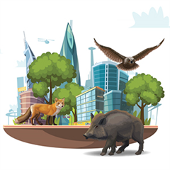 Vignette illustrant cette actualité