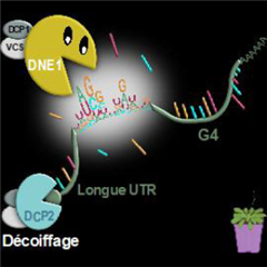 Vignette illustrant cette actualité