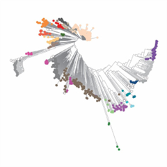 Vignette illustrant cette actualité