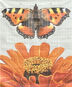 Vignette illustrant cette actualité