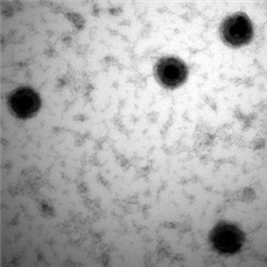 Vignette illustrant cette actualité