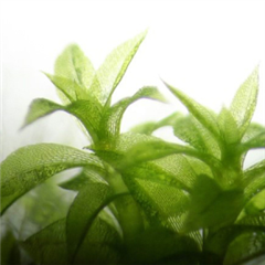 Vignette illustrant cette actualité