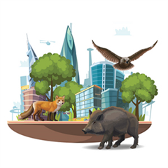 Vignette illustrant cette actualité