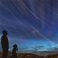 Vignette illustrant cette actualité