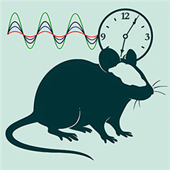 Vignette illustrant cette actualité