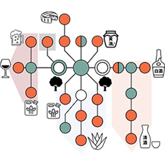 Vignette illustrant cette actualité