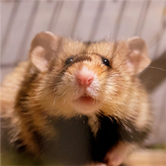 Vignette illustrant cette actualité