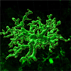 Vignette illustrant cette actualité