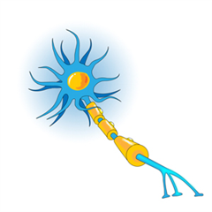 Vignette illustrant cette actualité