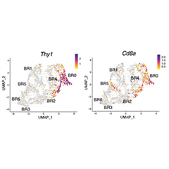 Vignette illustrant cette actualité