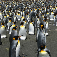 Vignette illustrant cette actualité