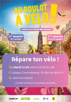 Vignette illustrant cette actualité