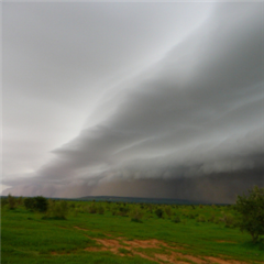 Vignette illustrant cette actualité