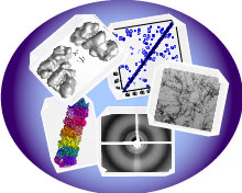 Vignette illustrant cette actualité
