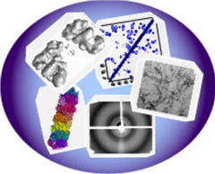 Vignette illustrant cette actualité