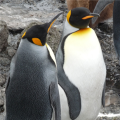 Vignette illustrant cette actualité