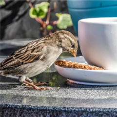 Vignette illustrant cette actualité