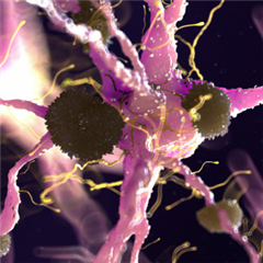 Vignette illustrant cette actualité